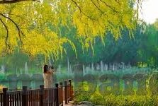 足球开奖比分直播-足球开奖比分直播，实时追踪，激情永不落幕